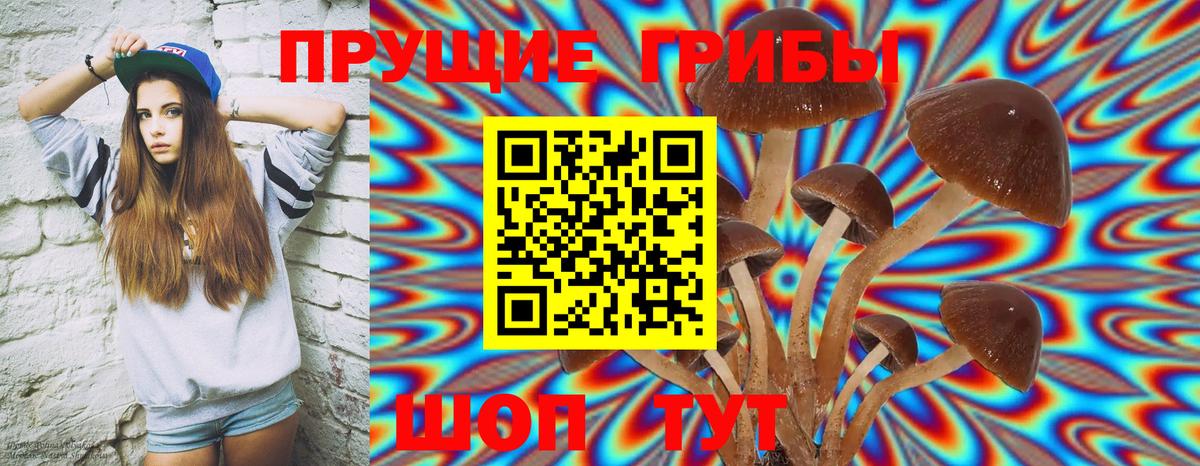 Галлюциногенные грибы MAGIC MUSHROOMS  как найти закладки  Энгельс  Вход с VPN 